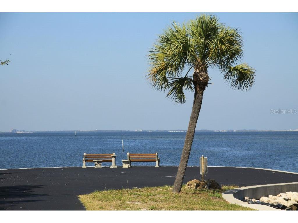 4851 W Gandy Boulevard #5PA Tampa FL 33611 A4630345 image50