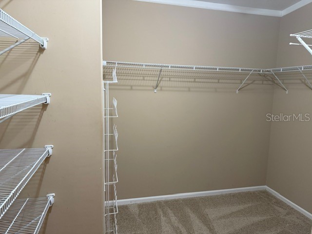 4851 W Gandy Boulevard #B09L23 Tampa FL 33611 TB8371428 image17