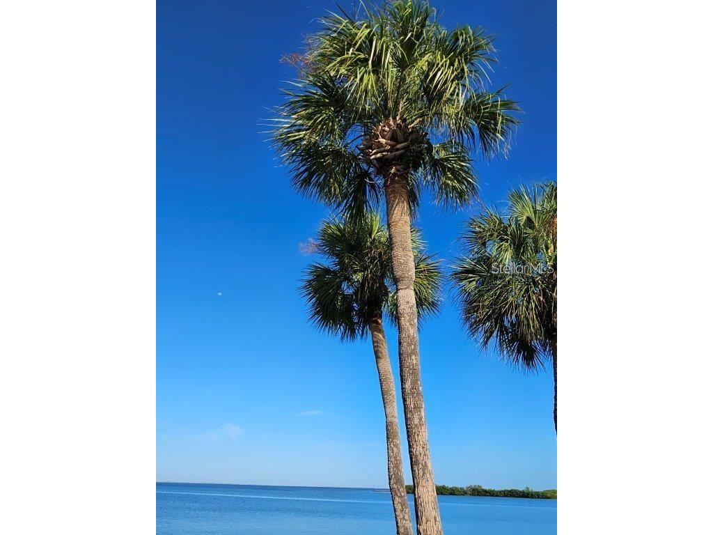 4851 W Gandy Boulevard #B11L35 Tampa FL 33611 TB8303129 image40