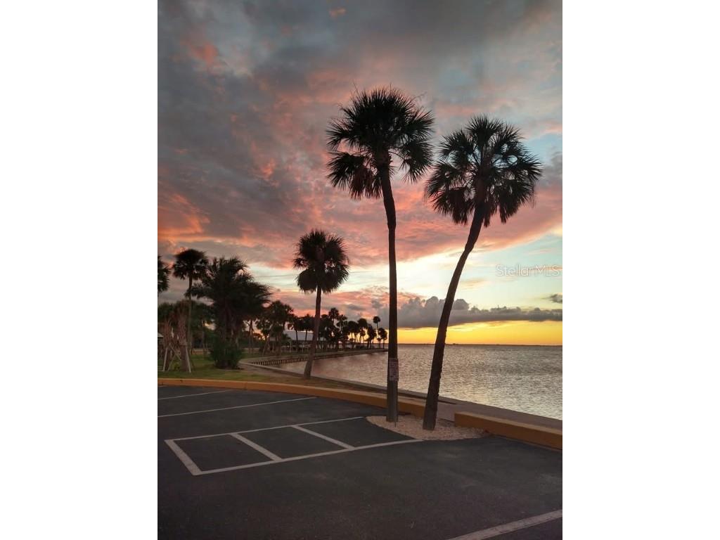 4851 W Gandy Boulevard #B14L38 Tampa FL 33611 A4674742 image19