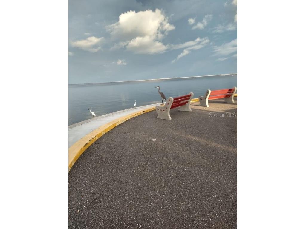 4851 W Gandy Boulevard #B14L38 Tampa FL 33611 A4674742 image20