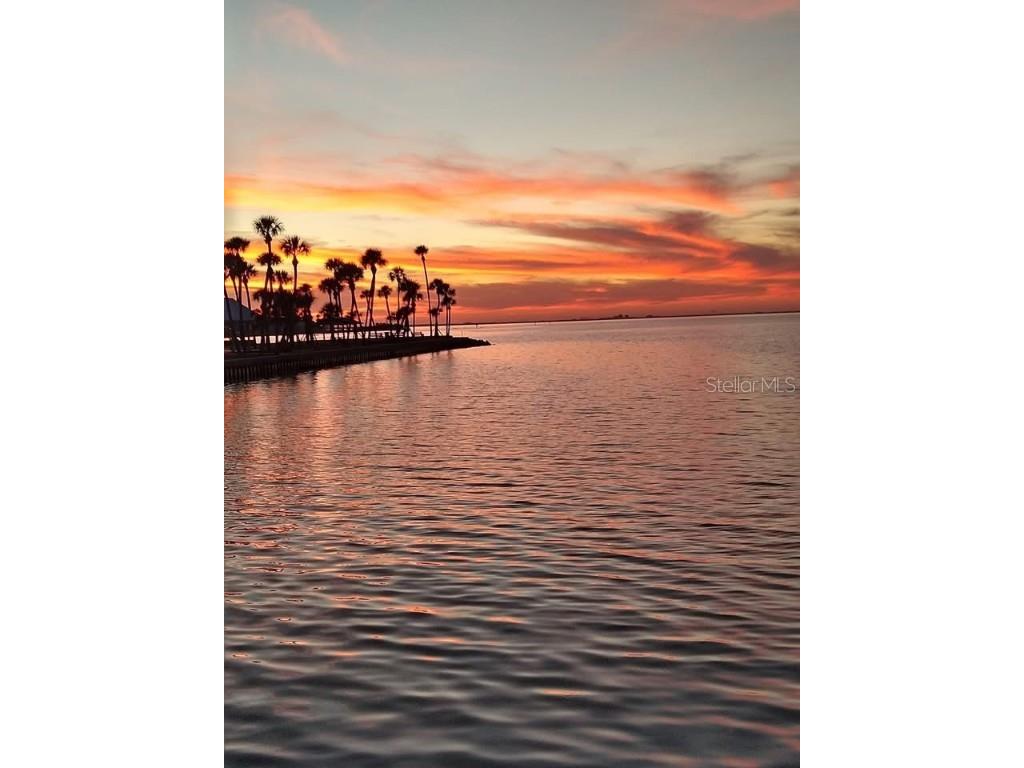 4851 W Gandy Boulevard #B14L38 Tampa FL 33611 A4674742 image21