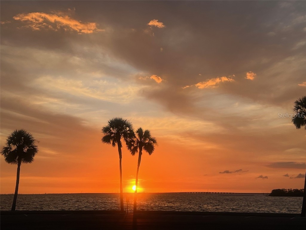 4851 W Gandy Boulevard #B14L38 Tampa FL 33611 A4674742 image22