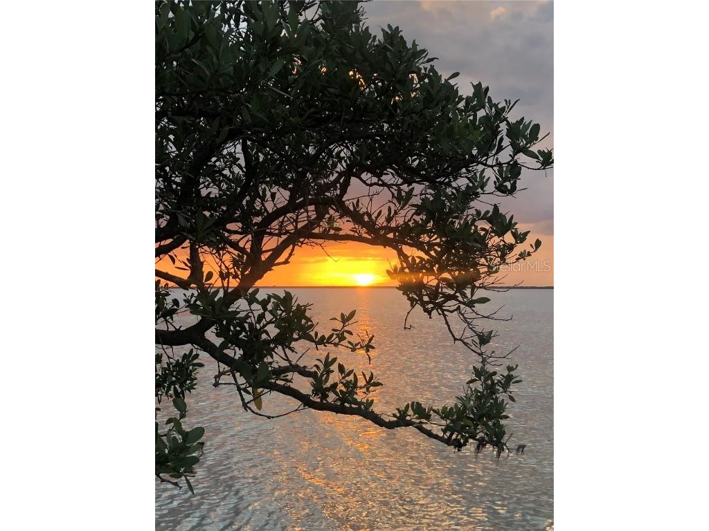 4851 W Gandy Boulevard #B2L10 Tampa FL 33611 TB8396457 image31