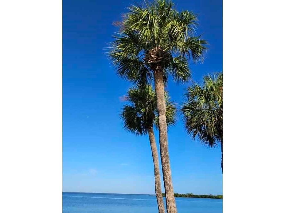 4851 W Gandy Boulevard #B3L15 Tampa FL 33611 TB8506863 image32
