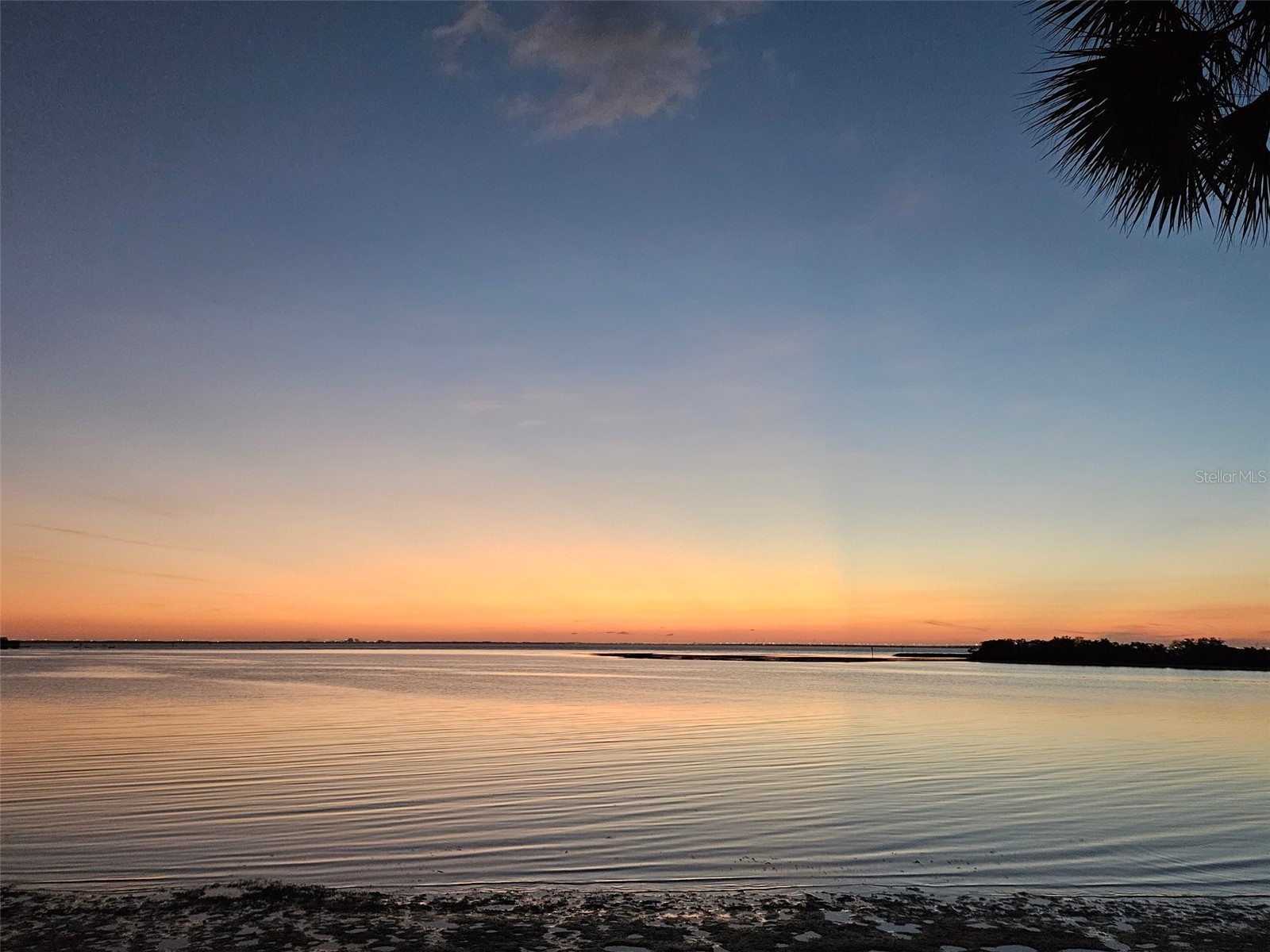 4851 W Gandy Boulevard #B3L15 Tampa FL 33611 TB8506863 image33