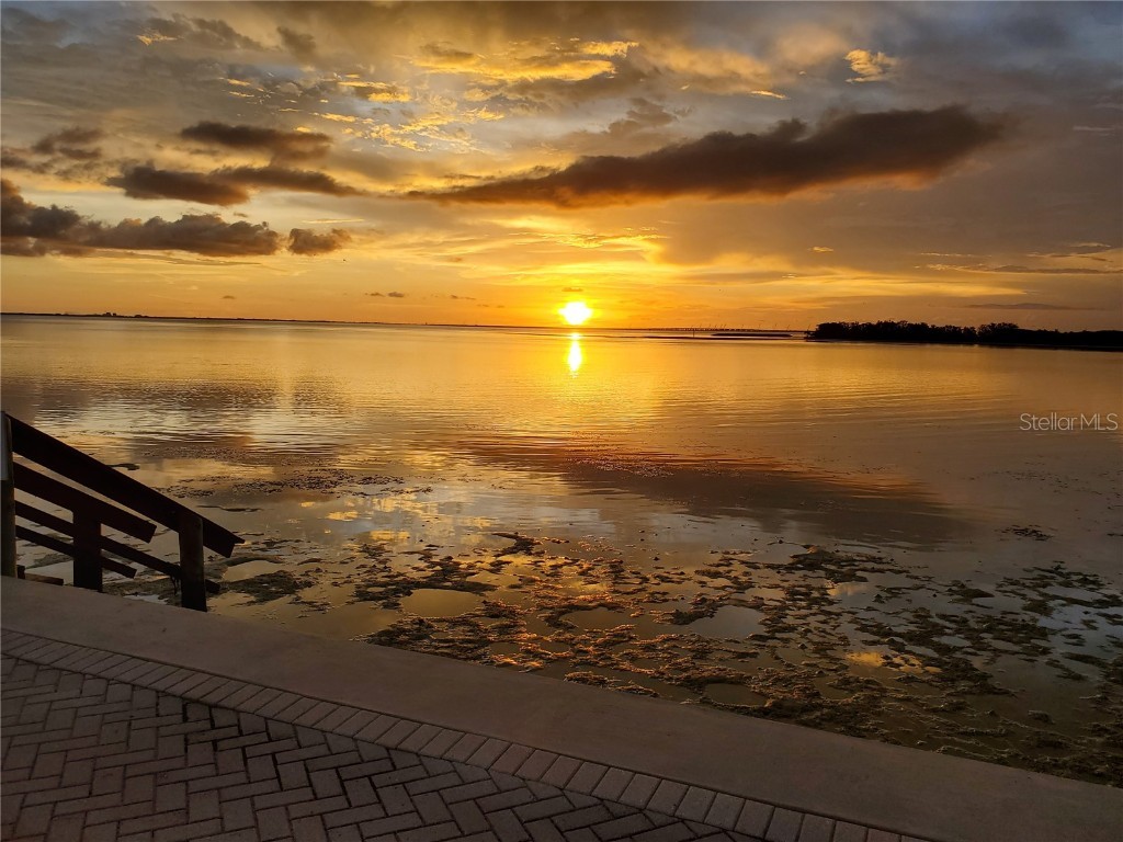 4851 W Gandy Boulevard #B4L7 Tampa FL 33611 TB8436114 image2