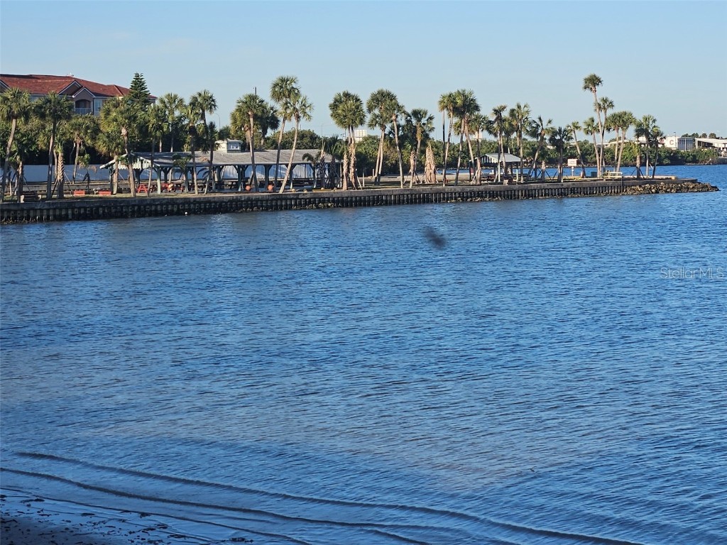 4851 W Gandy Boulevard #B5L5 Tampa FL 33611 TB8430473 image42