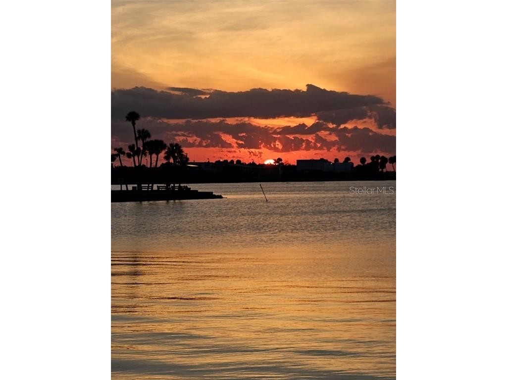 4851 W Gandy Boulevard #B5L5 Tampa FL 33611 TB8430473 image46