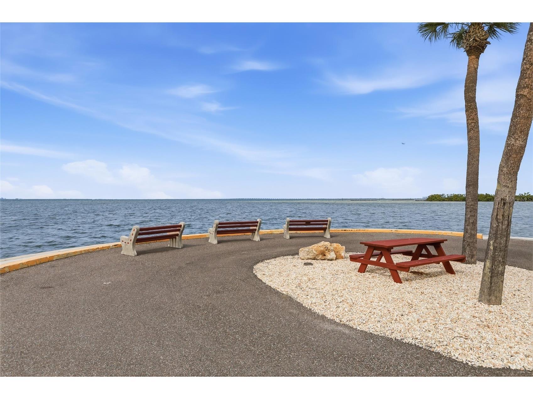 4851 W Gandy Boulevard #B7L17 Tampa FL 33611 - OLD TAMPA BAY TB8501627 image45