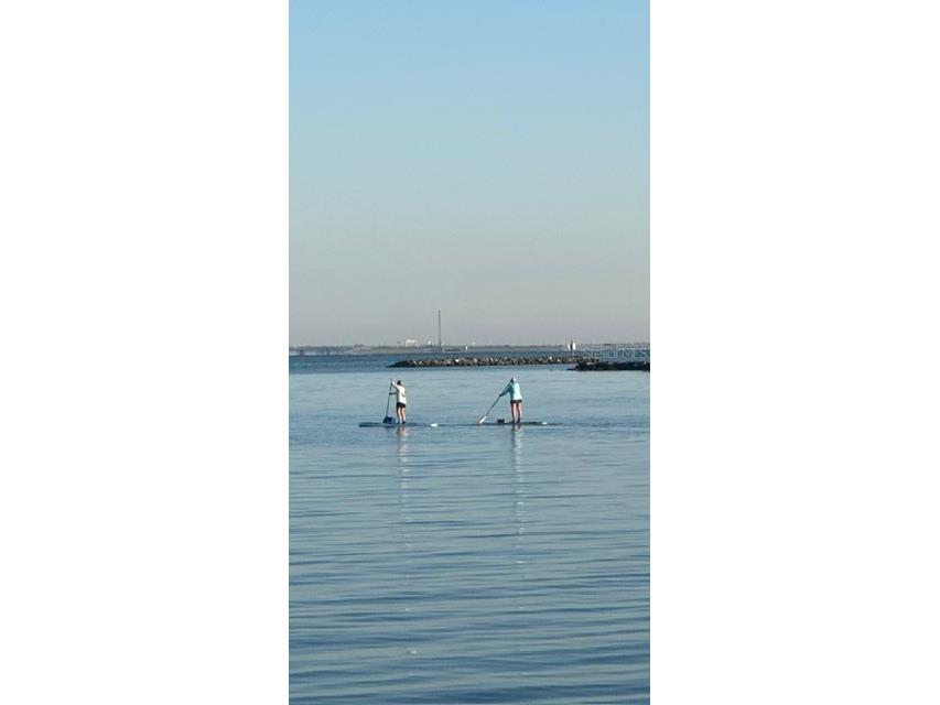 4851 W Gandy Boulevard #B7L17 Tampa FL 33611 - OLD TAMPA BAY TB8501627 image68
