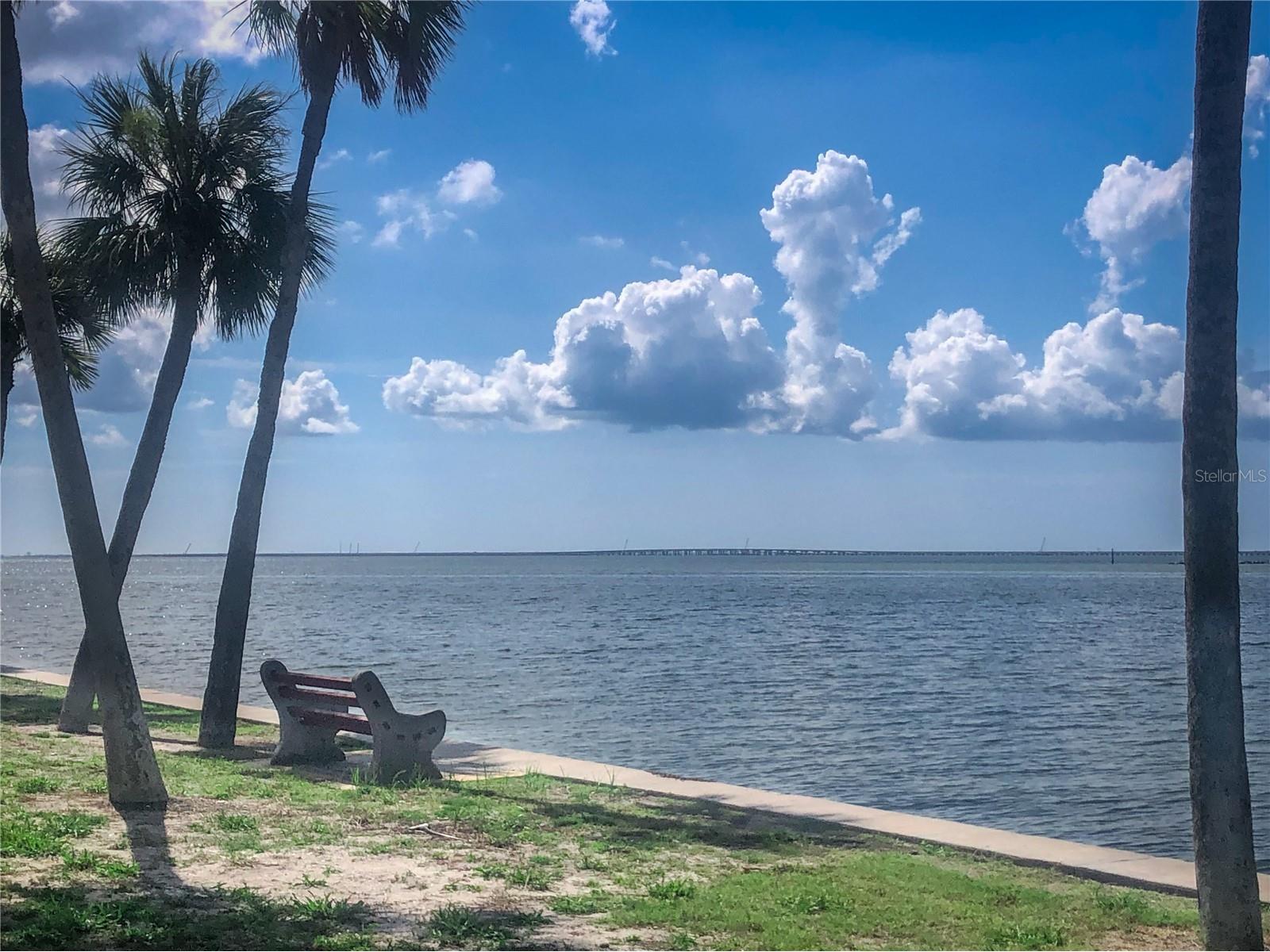4851 W Gandy Boulevard #B9L36 Tampa FL 33611 TB8520332 image11