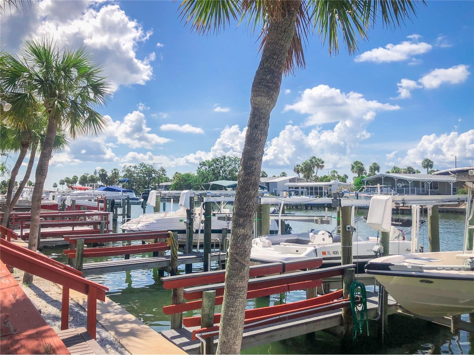 4851 W Gandy Boulevard #B9L36 Tampa FL 33611 TB8520332 image17