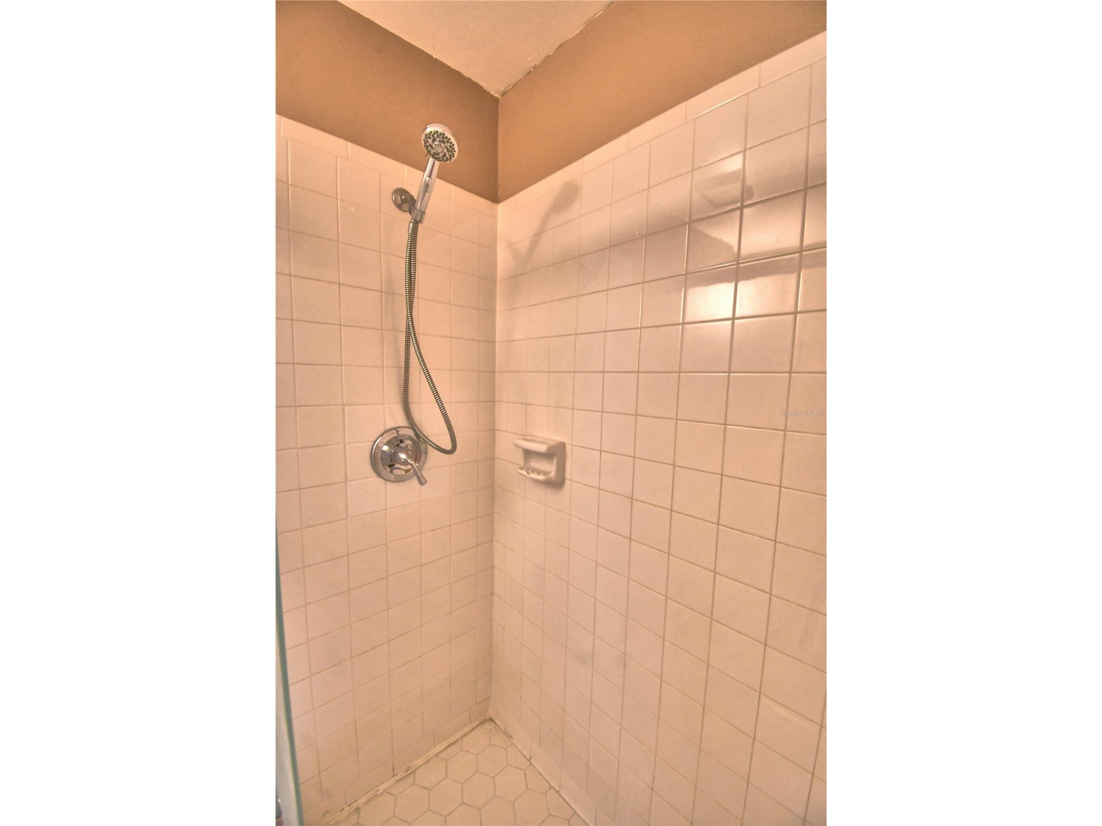 4853 Colonnades Circle E Lakeland FL 33811 L4962334 image31