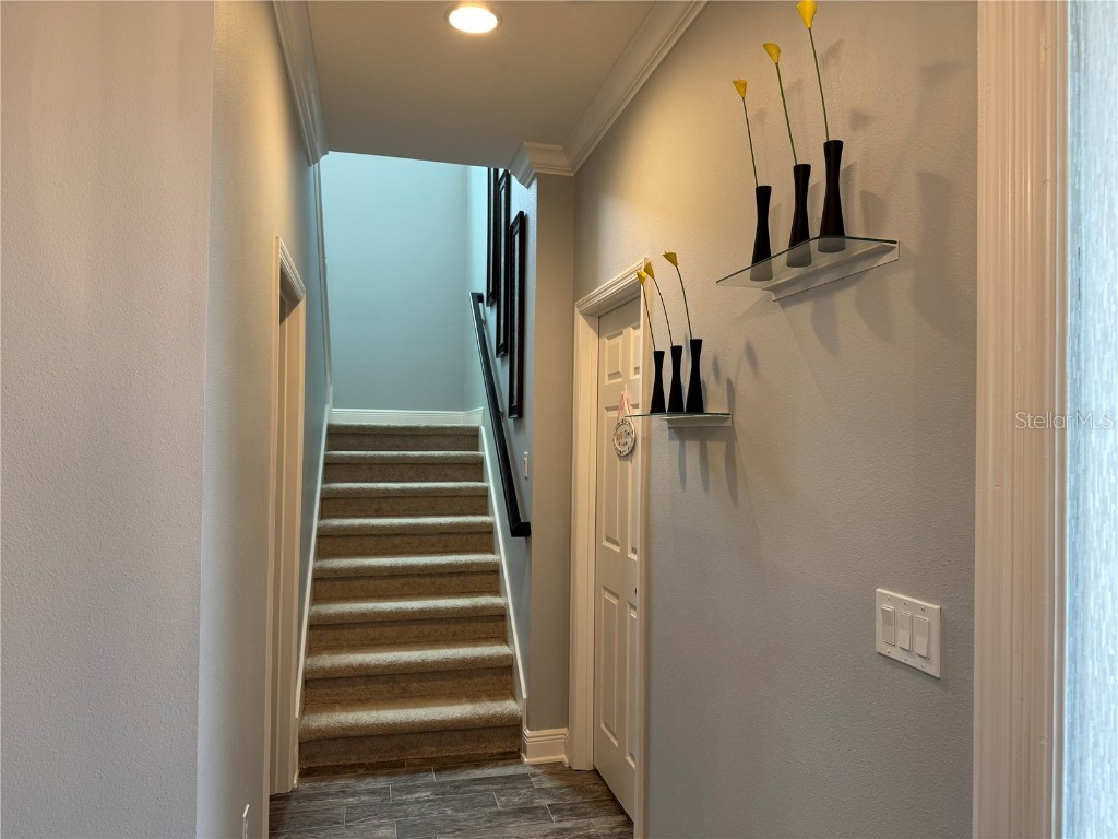 4854 Gilded Jewel Drive Mount Dora FL 32757 O6332966 image17