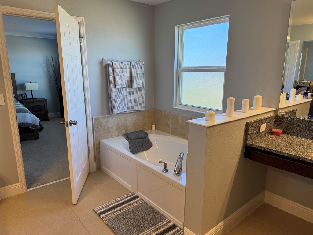 4854 Gilded Jewel Drive Mount Dora FL 32757 O6332966 image20