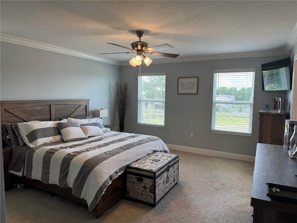 4854 Gilded Jewel Drive Mount Dora FL 32757 O6332966 image21