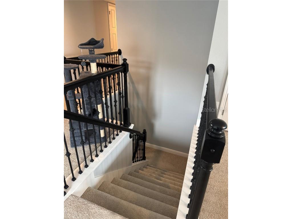 4854 Gilded Jewel Drive Mount Dora FL 32757 O6332966 image23