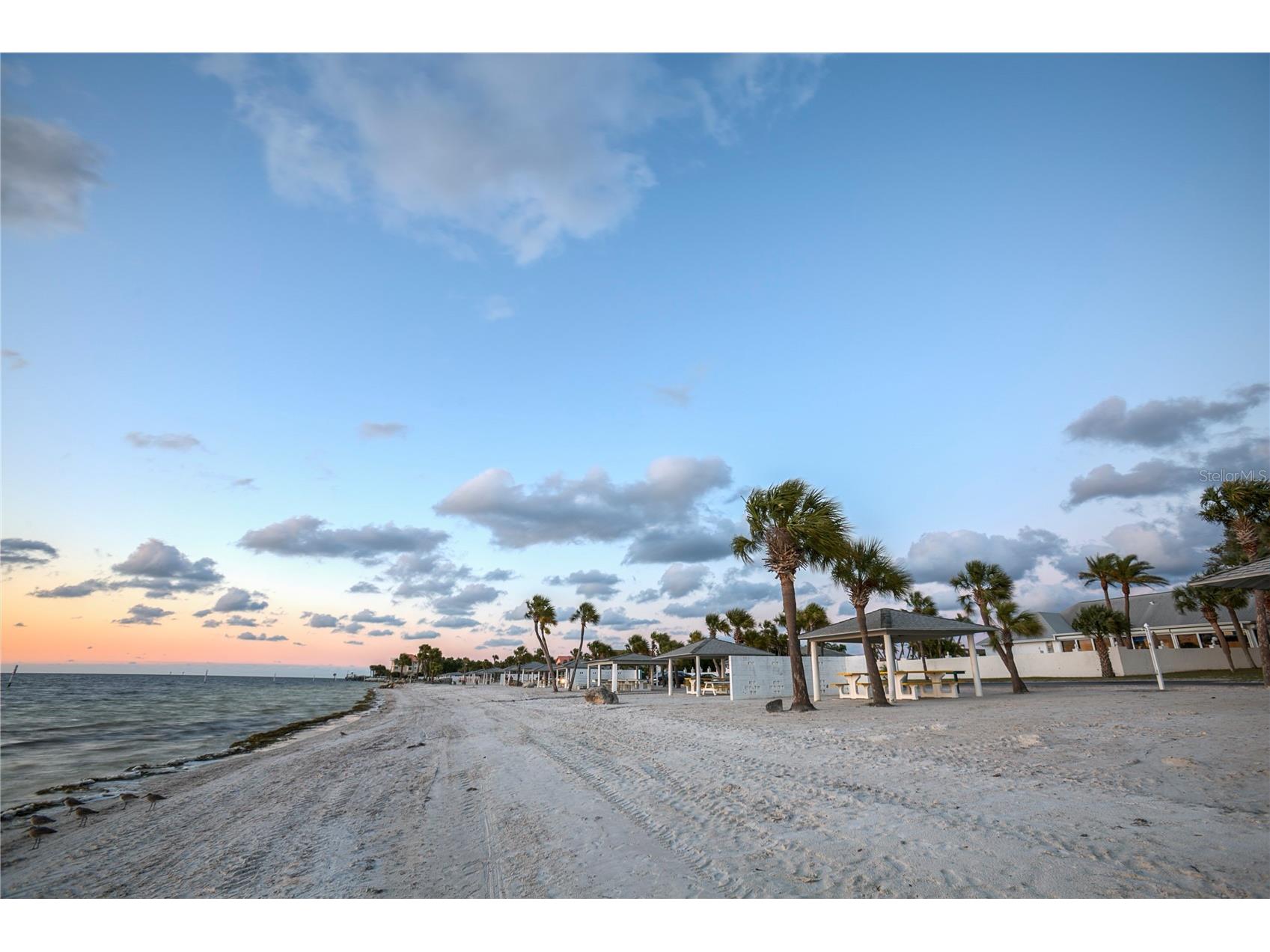 4854 Marine Parkway #103 New Port Richey FL 34652 TB8396027 image29