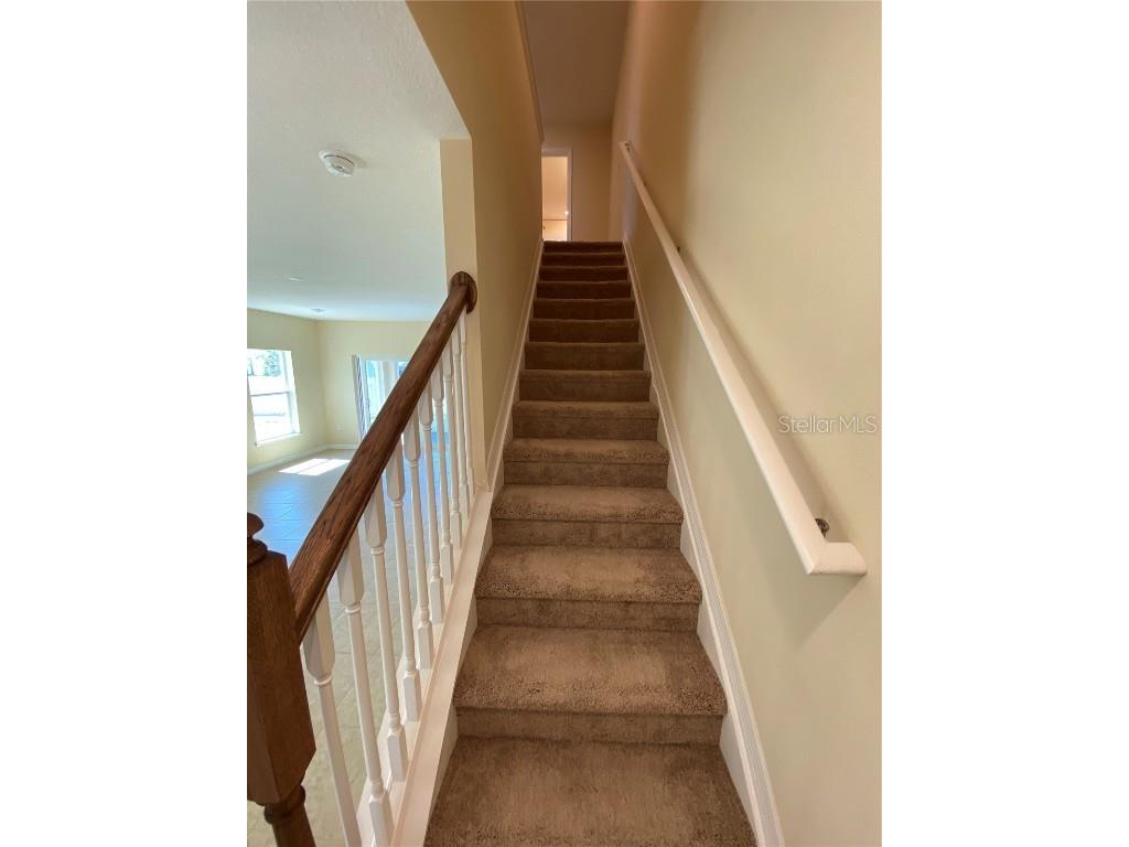 4855 Coral Castle Drive Kissimmee FL 34746 S5126999 image14