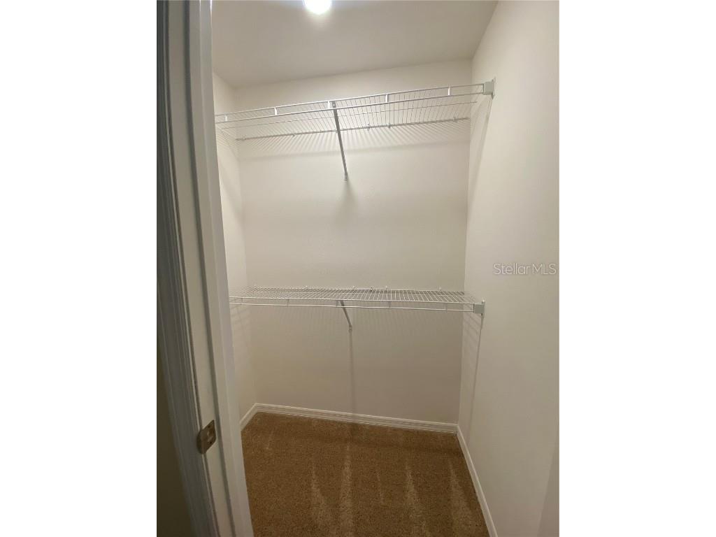 4855 Coral Castle Drive Kissimmee FL 34746 S5126999 image17