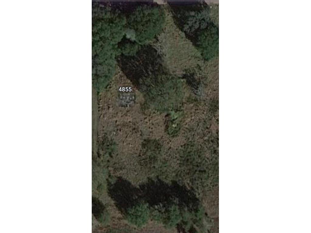 4855 Fruitville Avenue Lake Wales FL 33859 P4926071 image1