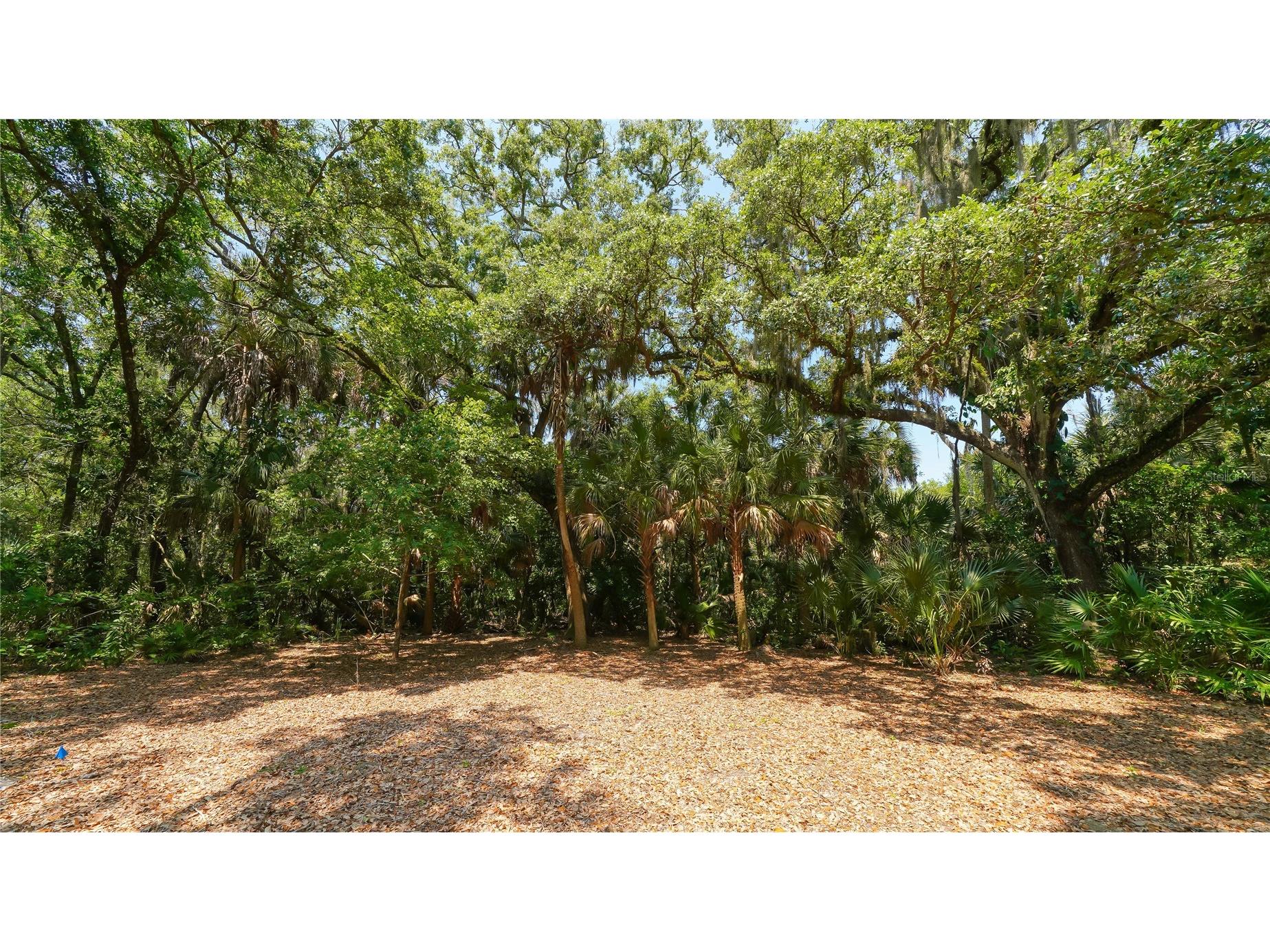 4855 Hoyer Drive Sarasota FL 34241 A4661458 image39