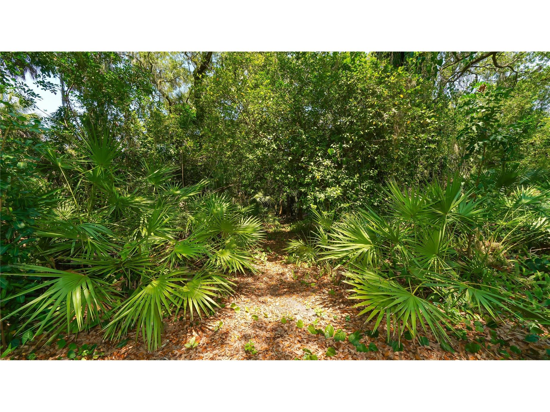 4855 Hoyer Drive Sarasota FL 34241 A4661458 image40