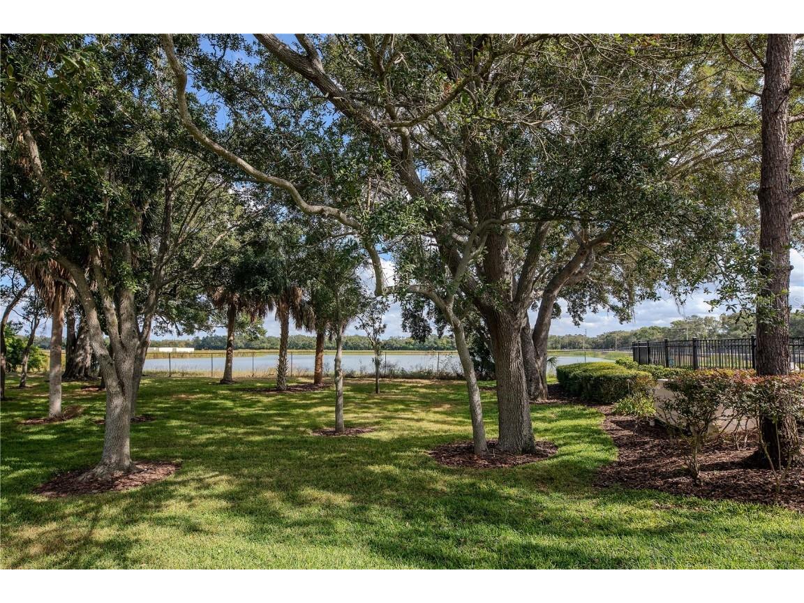 4855 Pond Ridge Drive Riverview FL 33578 TB8445616 image35