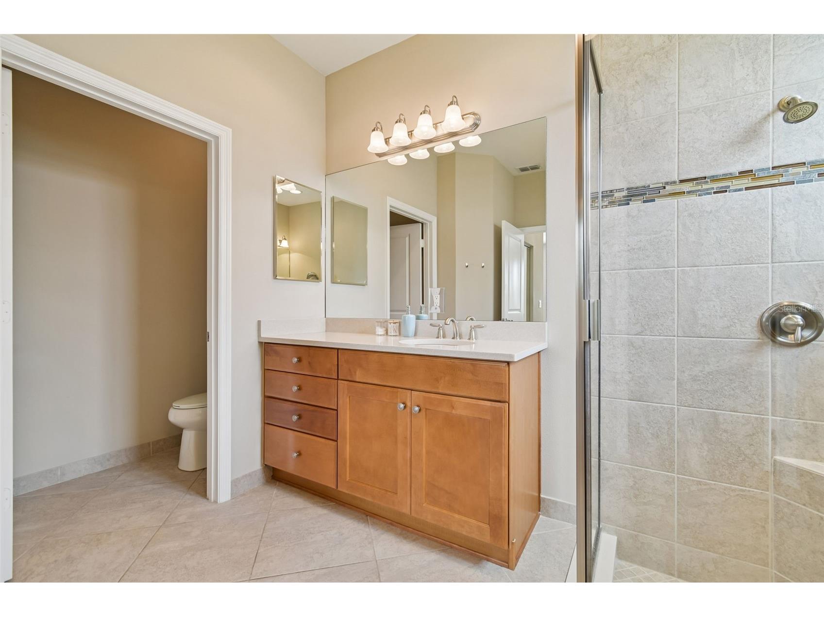 4856 Marble Springs Circle Wimauma FL 33598 TB8482762 image24