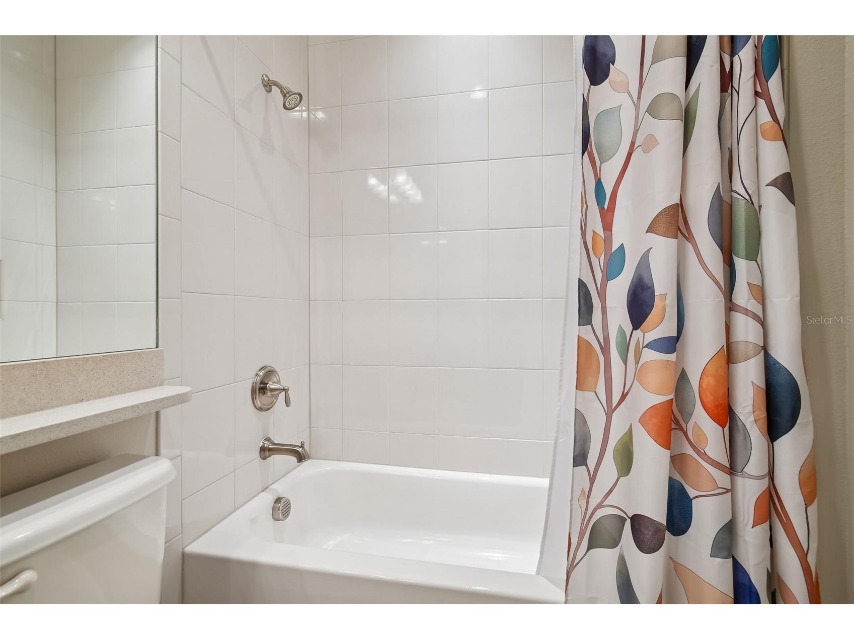 4856 Marble Springs Circle Wimauma FL 33598 TB8482762 image32