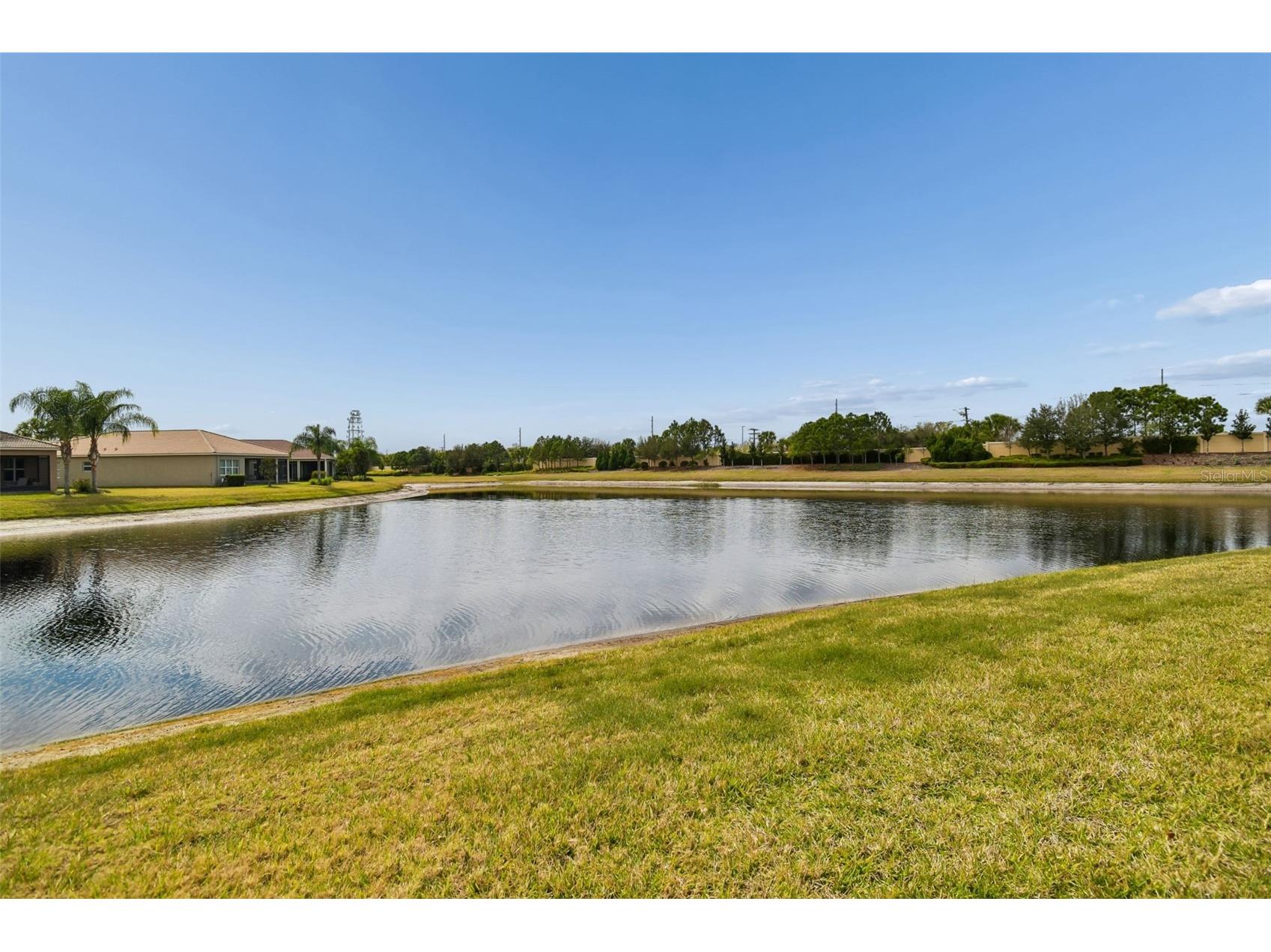4856 Marble Springs Circle Wimauma FL 33598 TB8482762 image41