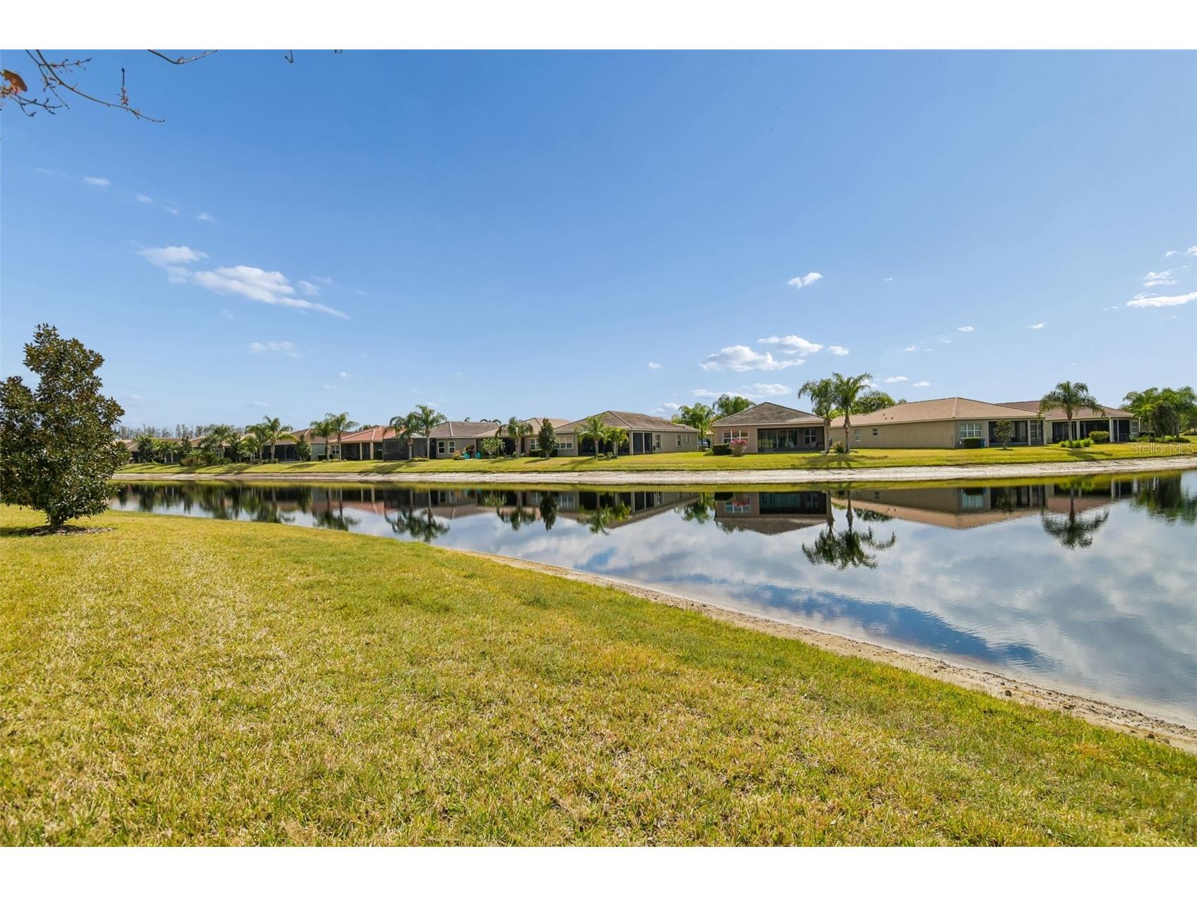 4856 Marble Springs Circle Wimauma FL 33598 TB8482762 image42