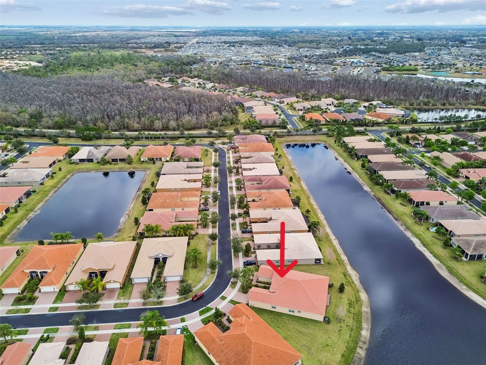 4856 Marble Springs Circle Wimauma FL 33598 TB8482762 image44