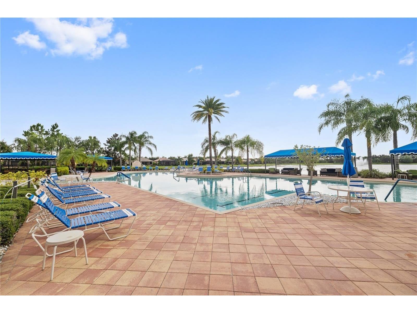 4856 Marble Springs Circle Wimauma FL 33598 TB8482762 image59