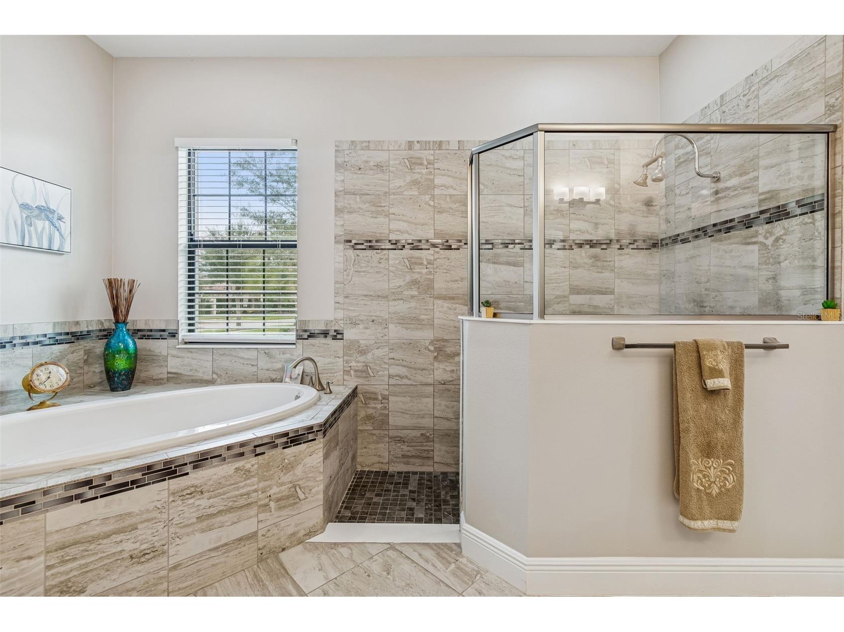 4856 Night Star Trail Odessa FL 33556 TB8461189 image31