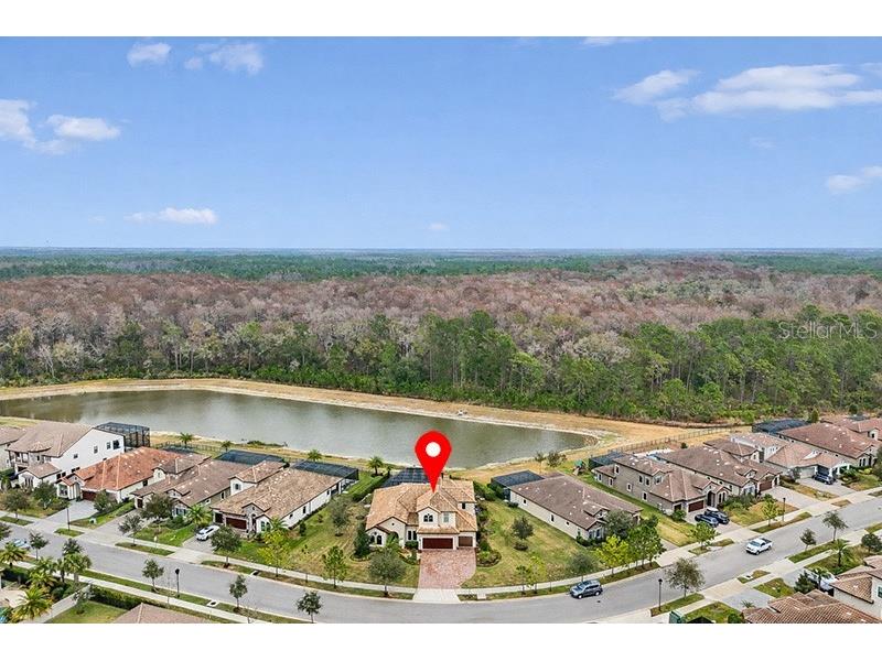 4856 Night Star Trail Odessa FL 33556 TB8461189 image77