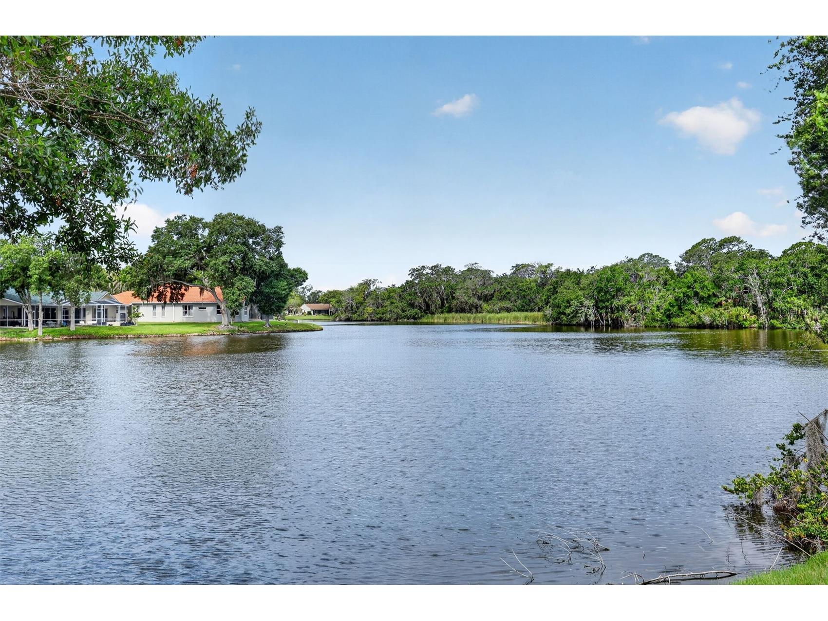 4856 Westchester Court Oldsmar FL 34677 TB8515993 image26