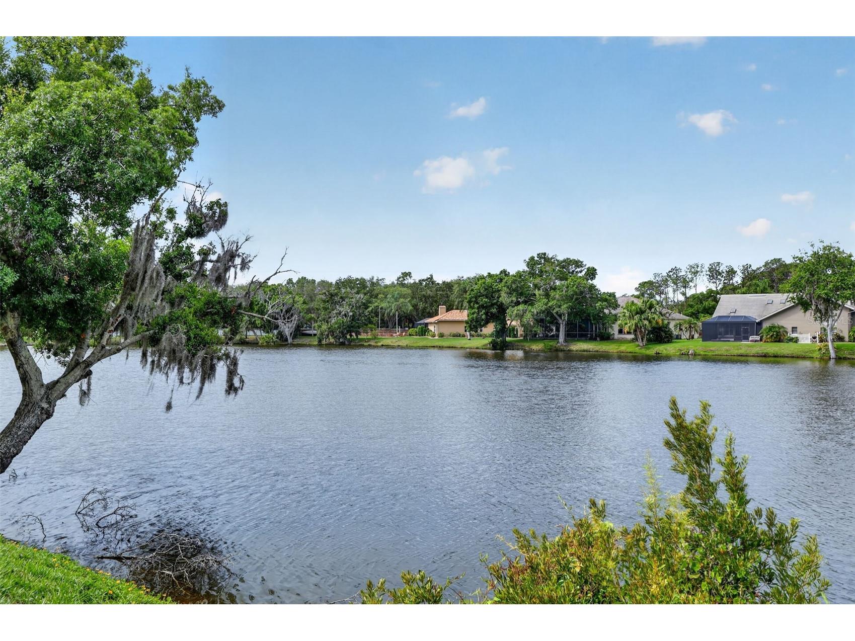 4856 Westchester Court Oldsmar FL 34677 TB8515993 image27