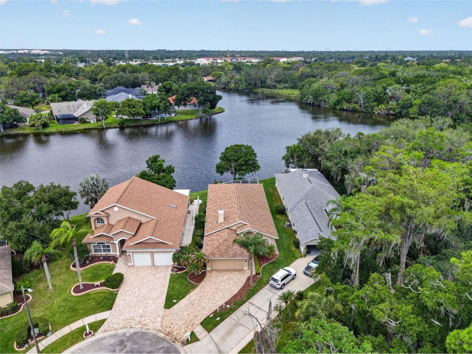 4856 Westchester Court Oldsmar FL 34677 TB8515993 image29