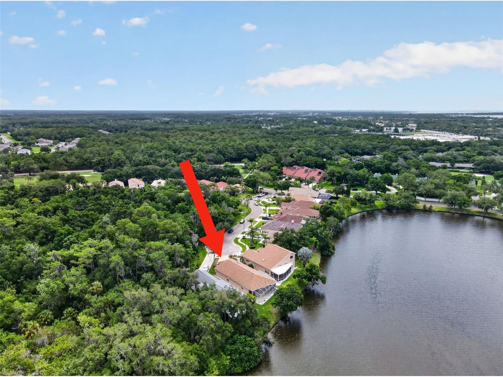 4856 Westchester Court Oldsmar FL 34677 TB8515993 image30