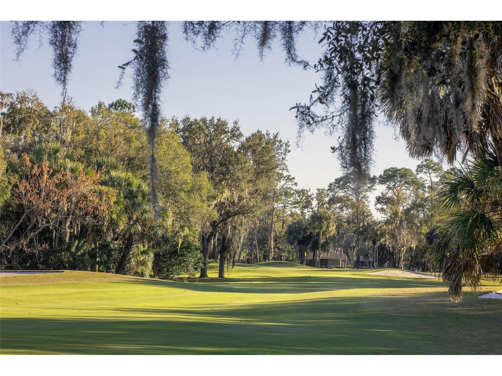 4856 Westchester Court Oldsmar FL 34677 TB8515993 image34