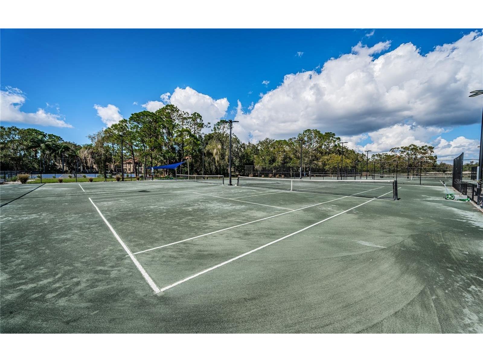 4856 Westchester Court Oldsmar FL 34677 TB8515993 image35