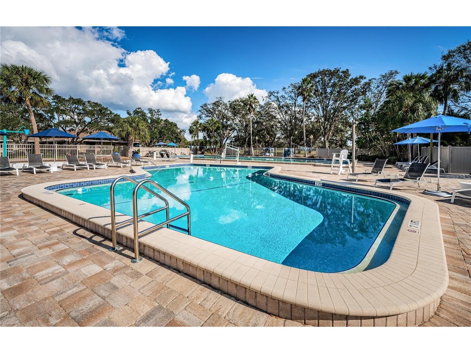 4856 Westchester Court Oldsmar FL 34677 TB8515993 image36