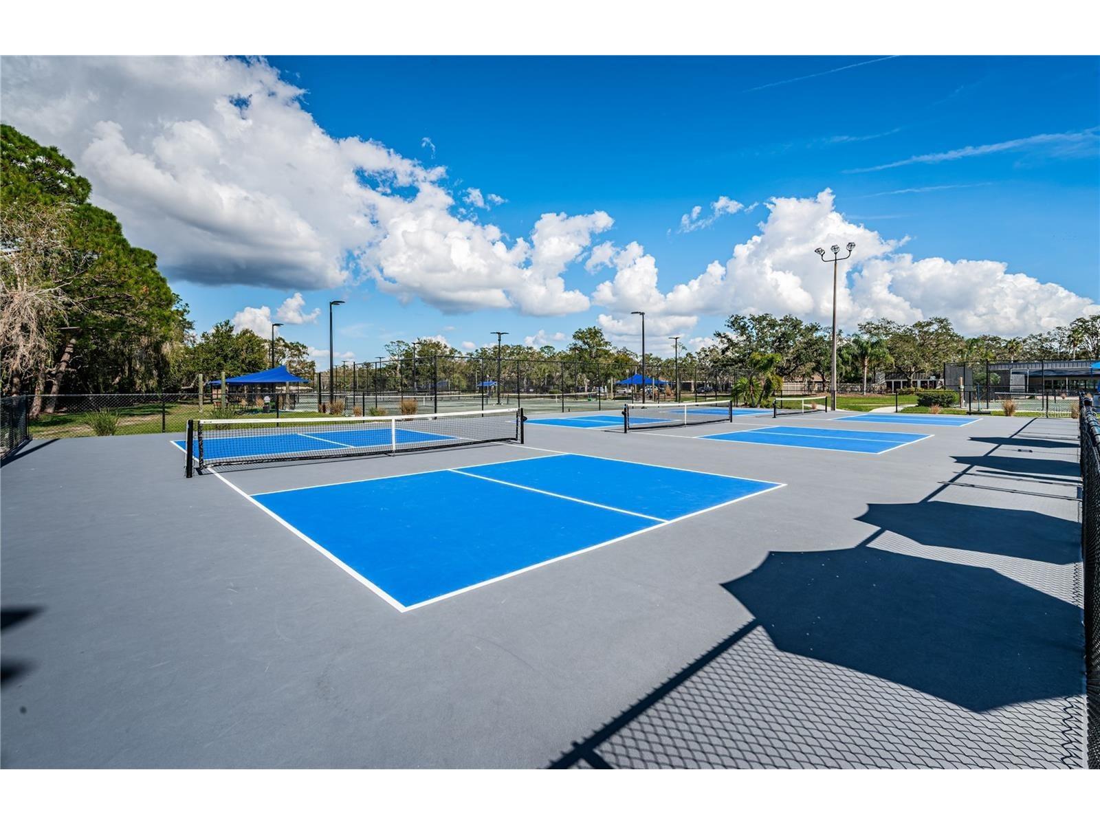 4856 Westchester Court Oldsmar FL 34677 TB8515993 image37