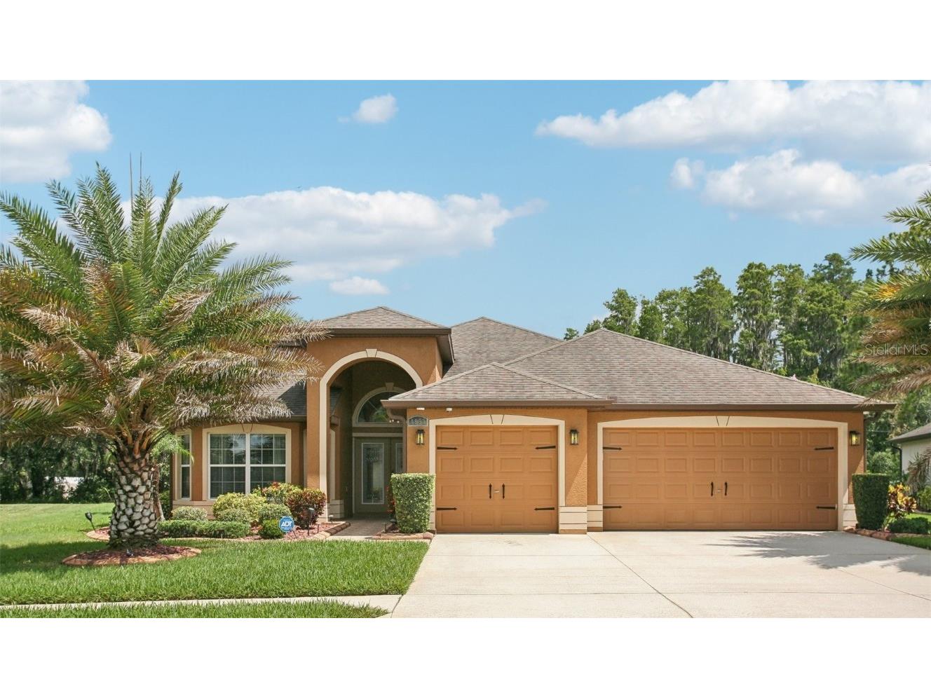 4857 Diamonds Palm Loop Wesley Chapel FL 33543 T3536992 image1