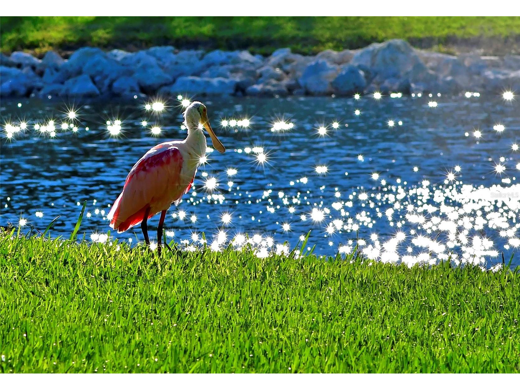 4857 Independence Drive Bradenton FL 34210 - SARASOTA BAY A4690616 image33