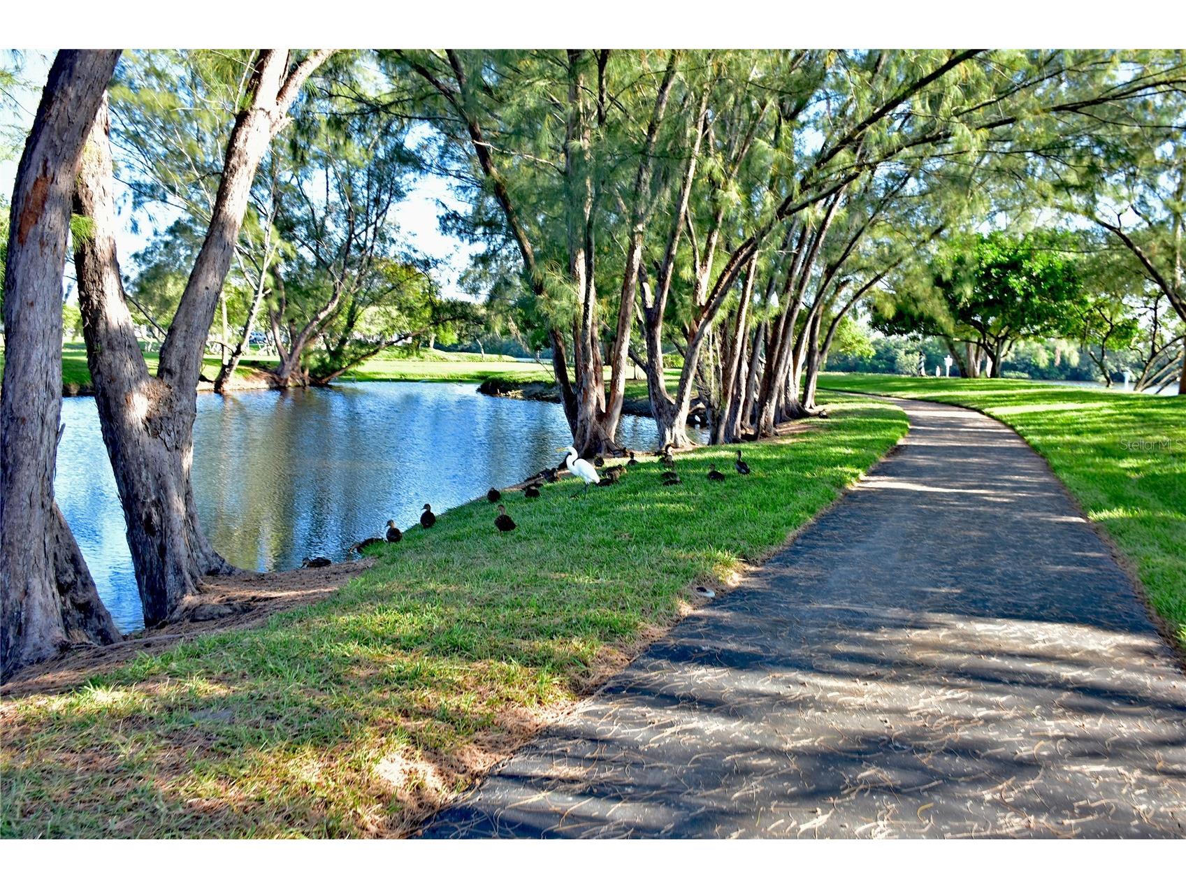 4857 Independence Drive Bradenton FL 34210 - SARASOTA BAY A4690616 image62