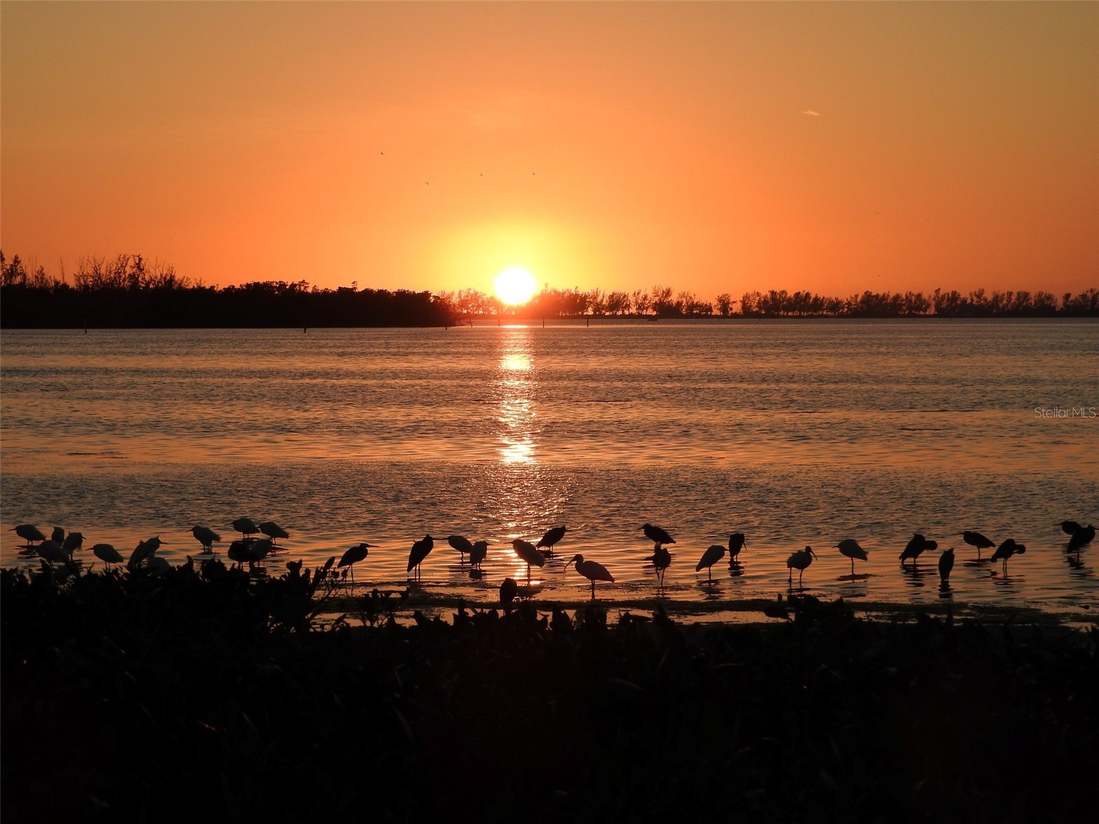 4857 Independence Drive Bradenton FL 34210 - SARASOTA BAY A4690616 image68