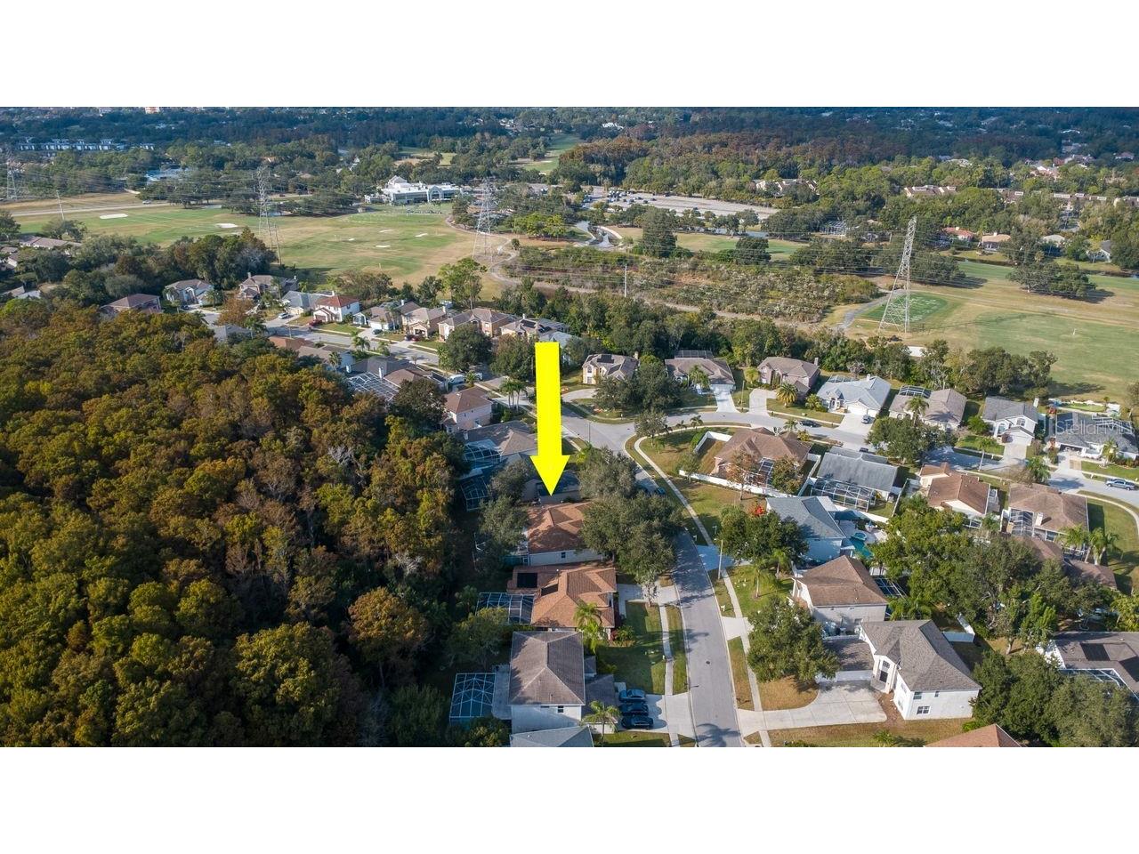 4858 Augusta Avenue Oldsmar FL 34677 TB8451607 image13